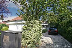 Expose mit Bildern H�user aus Wiesbaden - Immobilienmakler Luxor Liegenschaften