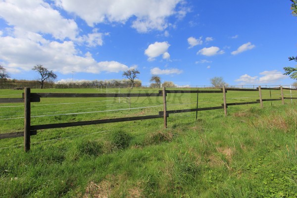 Wiesbaden Immobilien Altbauvilla von LUXOR 