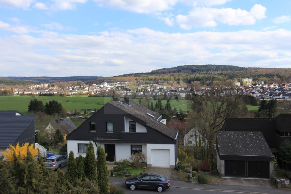 Immobilien Wiesbaden EFH / Villa von LUXOR 